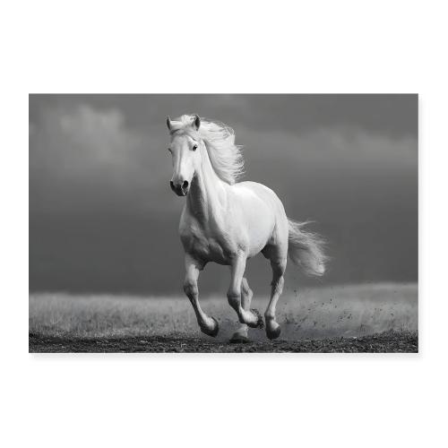 Horse: Wind and Shadow - Poster 36x24