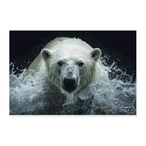 Polar bear: Splash Arrival - Poster 36x24