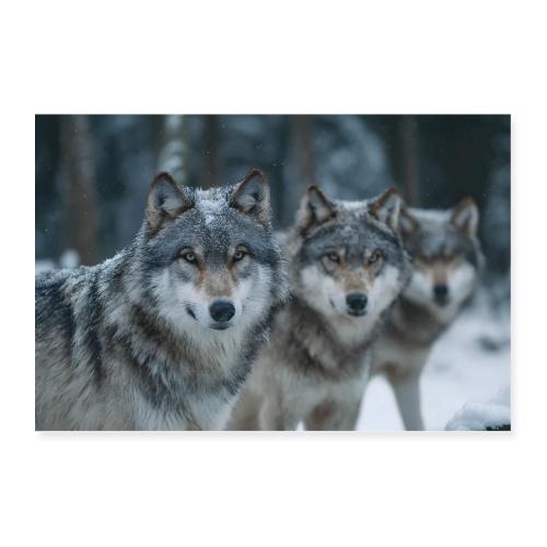 Snowbound Watch - Poster 36x24