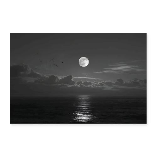 Silver Reflection - Poster 36x24