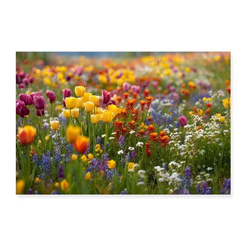 Blooming Horizon - Poster 36x24