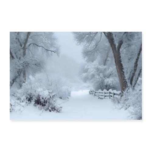 Silent Path of Snow - Poster 36x24