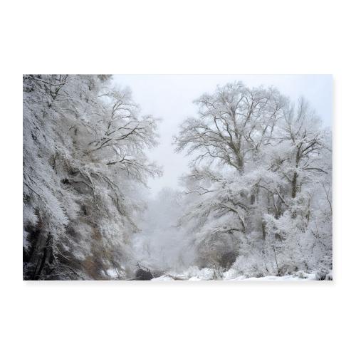 Winter: Frosted Giants - Poster 36x24