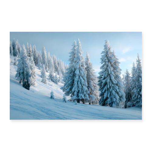 Pine Forest in Winter Sun - Poster 36x24