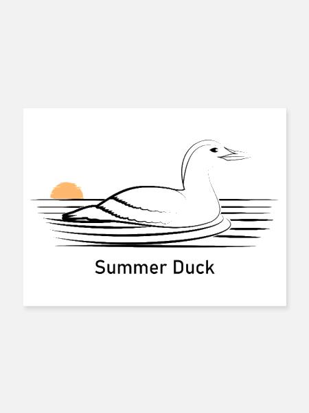 Summer duck. - Poster 24x18 - white - Front