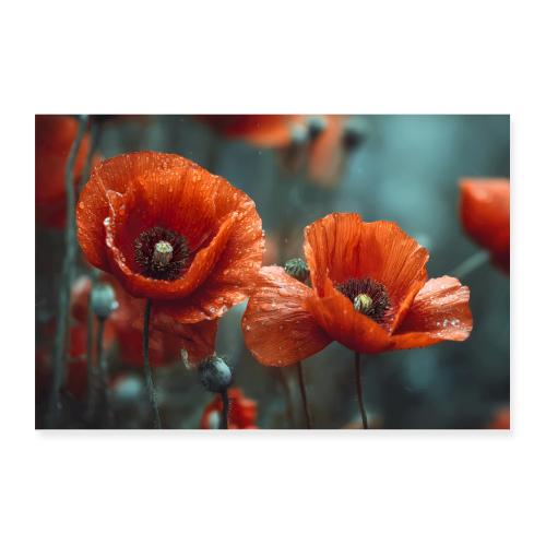 Field of Poppies - Poster 12x8