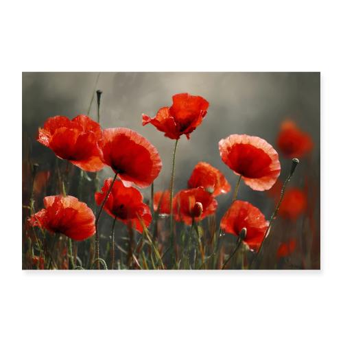 Poppies: A Tribute in Red - Poster 12x8