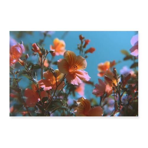 Sunlit Blossoms - Poster 12x8
