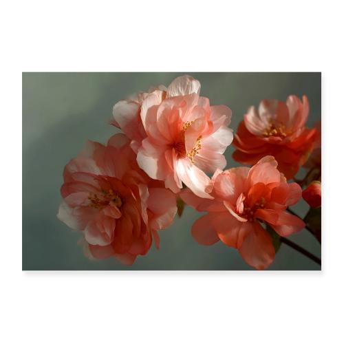 Blush and Beam - Poster 12x8