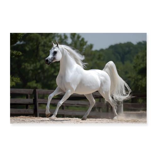 Gallop of Light - Poster 12x8