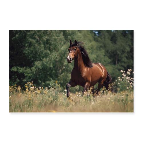 Horse: Gallop Through the Wild - Poster 12x8