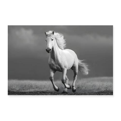 Horse: Wind and Shadow - Poster 12x8