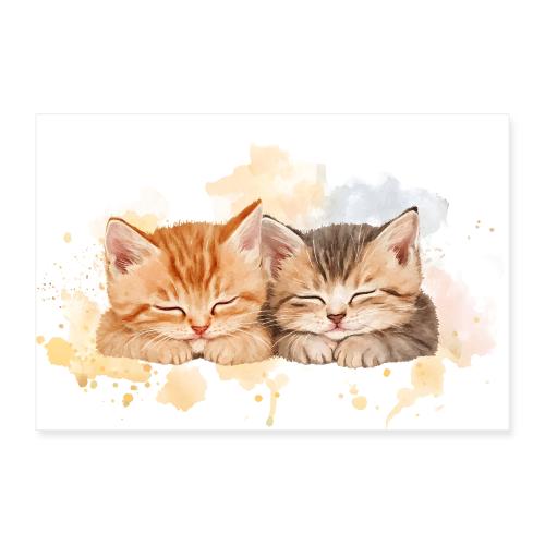 Kitten: Dreamy Nap Time - Poster 12x8