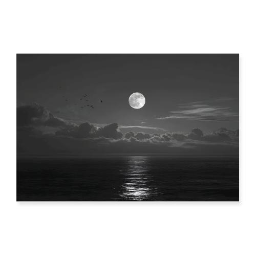 Silver Reflection - Poster 12x8