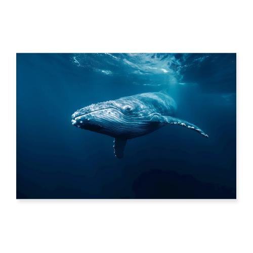 Whale: Silent Giant - Poster 12x8