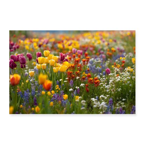 Blooming Horizon - Poster 12x8