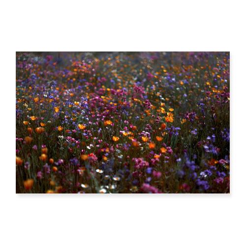 Wild Symphony - Poster 12x8