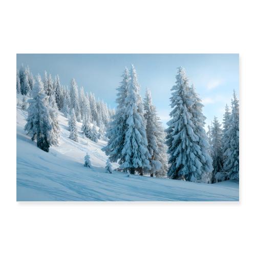Pine Forest in Winter Sun - Poster 12x8