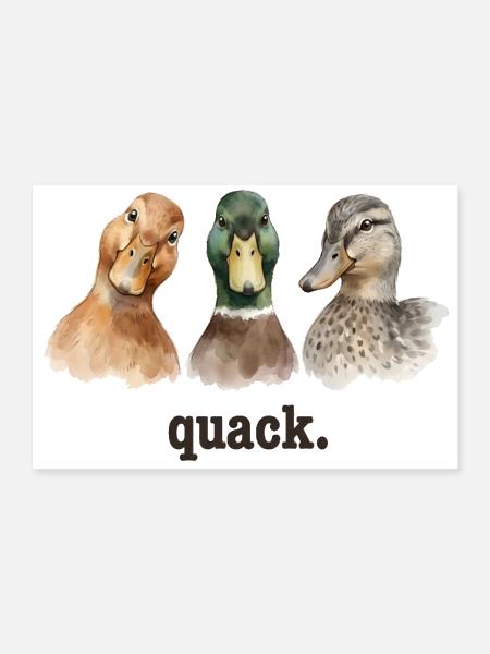 Ducks Quack Funny Duck Lover Funny Quack - Poster 12x8 - white - Front