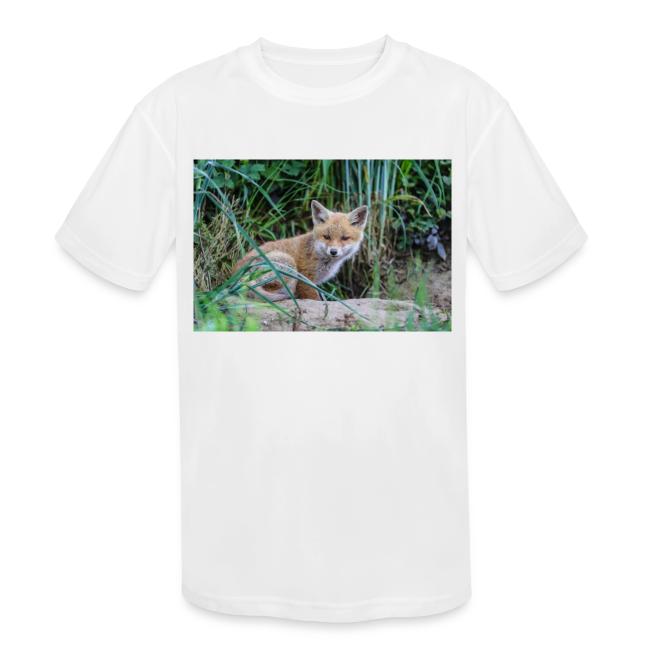 fox