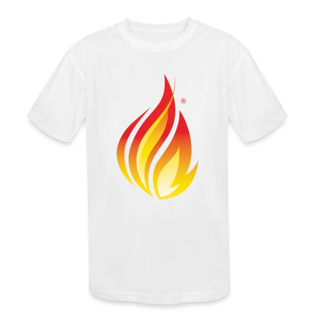 HL7 FHIR Flame Logo