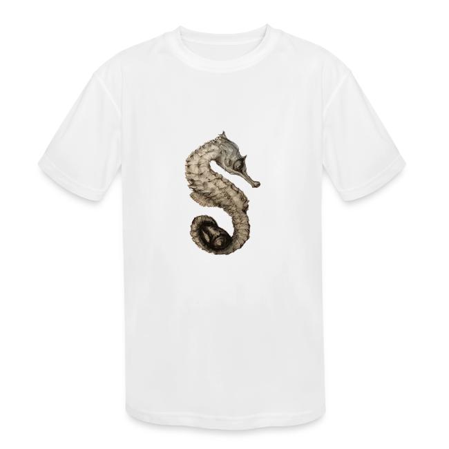 seahorse with sea shell