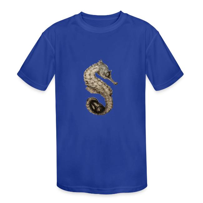 seahorse with sea shell