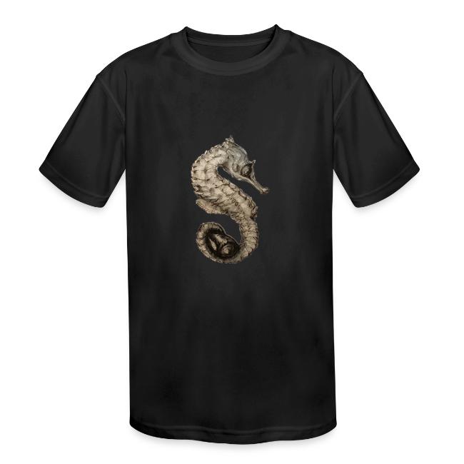 seahorse with sea shell