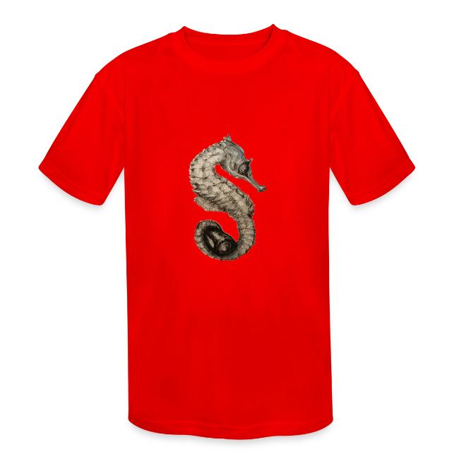 seahorse with sea shell