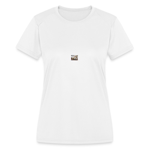 download - Women's Moisture Wicking Performance T-Shirt