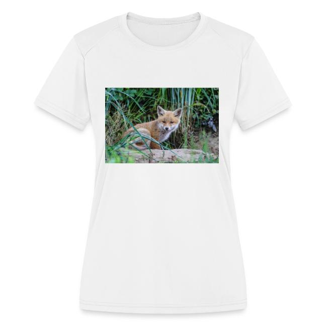 fox