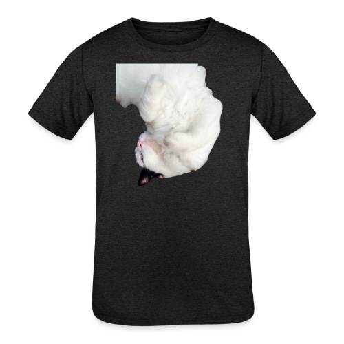 Sleeping Cat - Kids' Tri-Blend T-Shirt