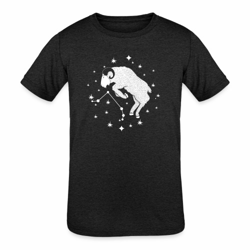 Ambitious Aries Constellation Birthday March April - Kids' Tri-Blend T-Shirt