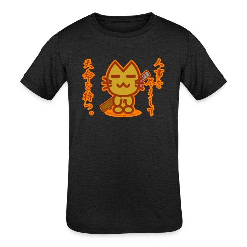Samurai Cat - Kids' Tri-Blend T-Shirt