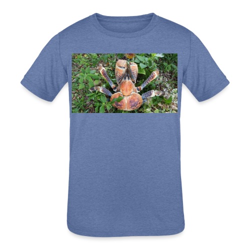 ROBBER CRAB - Kids' Tri-Blend T-Shirt