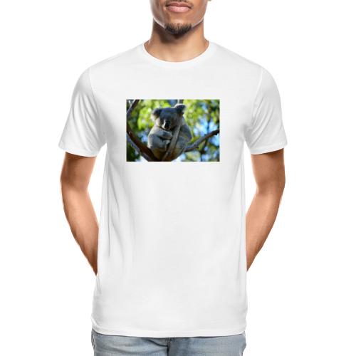 cute koala 4313675 1280 - Men's Premium Organic T-Shirt