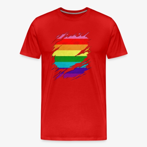 Original Gilbert Baker LGBT Gay Pride Flag Ripped - Men's Premium Organic T-Shirt
