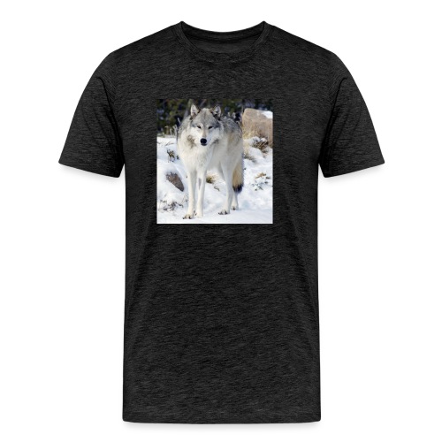 Canis lupus occidentalis - Men's Premium Organic T-Shirt