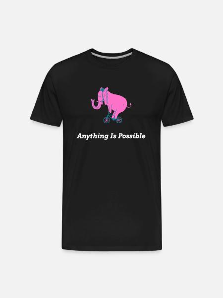 Anything Is Possible - Men's Premium Organic T-Shirt - black