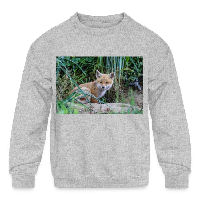 fox