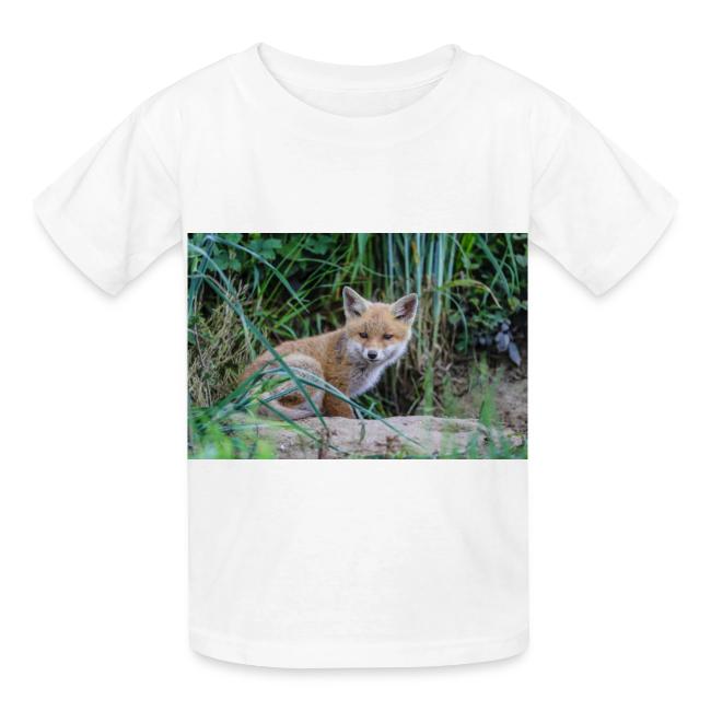fox