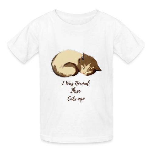 I Was Normal Three Cats Ago Funny Cat T-Shirt - Heavyweight Kid's T-Shirt