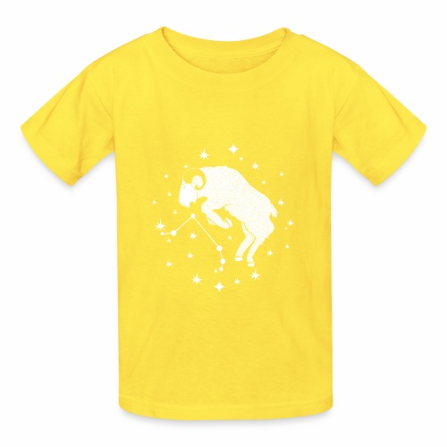 Ambitious Aries Constellation Birthday March April - Hanes Youth T-Shirt
