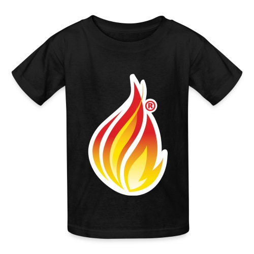HL7 FHIR Flame graphic with white background - Hanes Youth T-Shirt