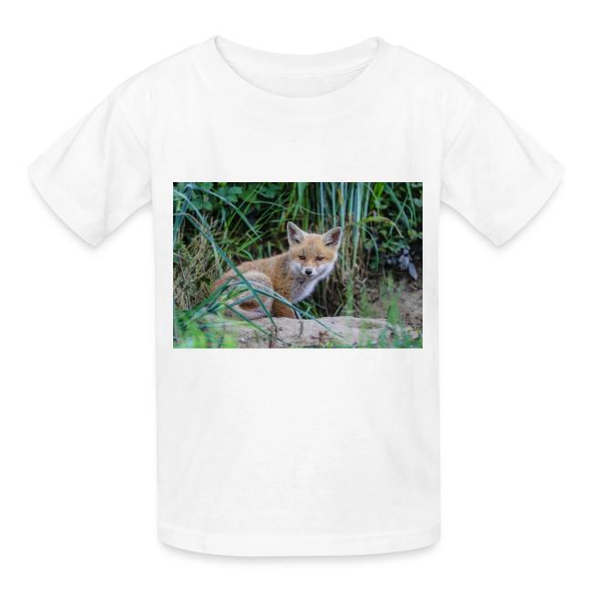 fox