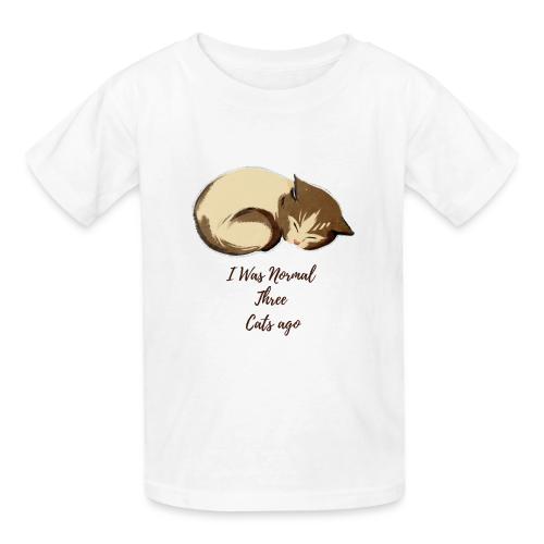 I Was Normal Three Cats Ago Funny Cat T-Shirt - Gildan Ultra Cotton Youth T-Shirt