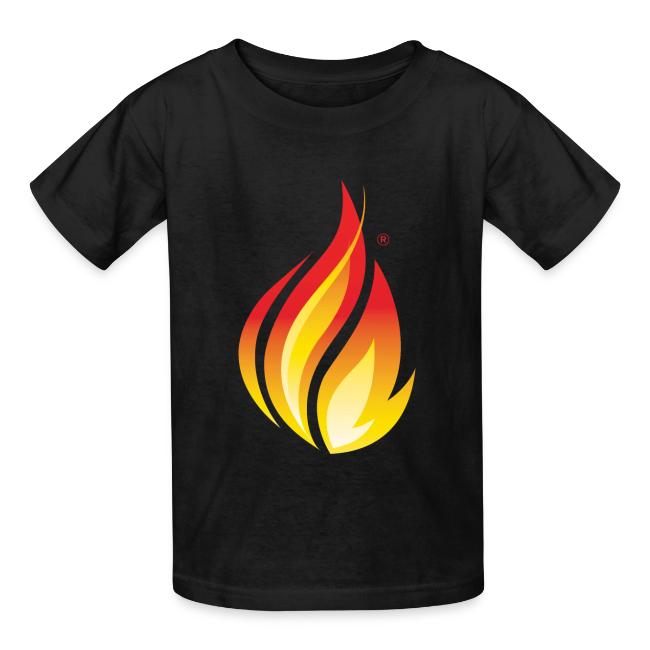 HL7 FHIR Flame Logo