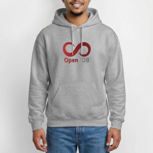 OpenVDB - Gildan Heavy Blend Adult Hoodie