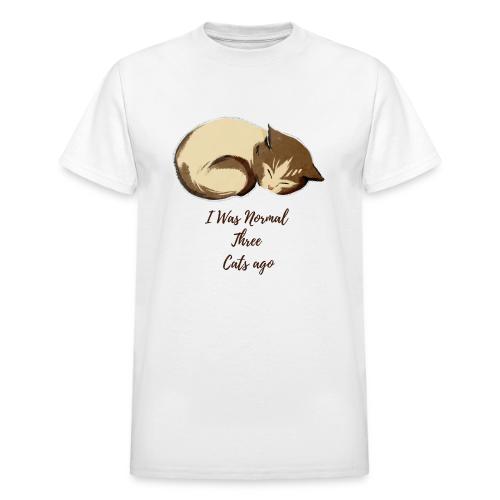 I Was Normal Three Cats Ago Funny Cat T-Shirt - Heavyweight Unisex T-Shirt by Gildan