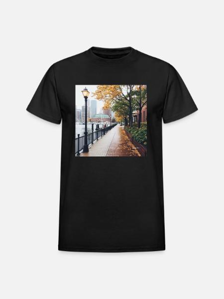 Boston, Massachusetts - Heavyweight Unisex T-Shirt by Gildan - black